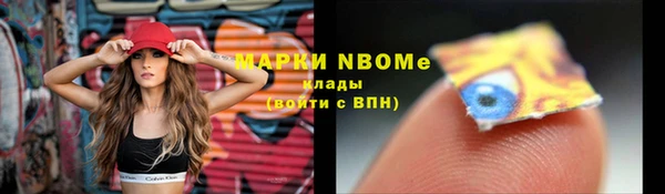 соль ск Зеленодольск