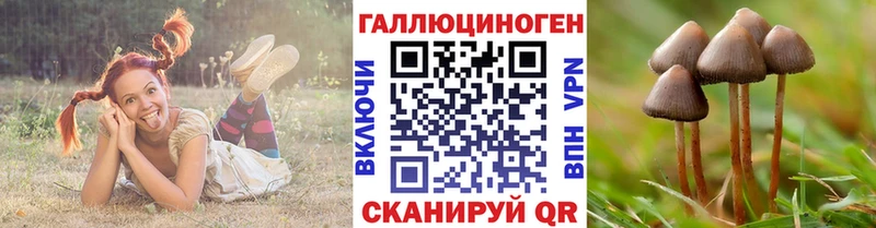 кракен вход  Вичуга  Псилоцибиновые грибы мицелий 